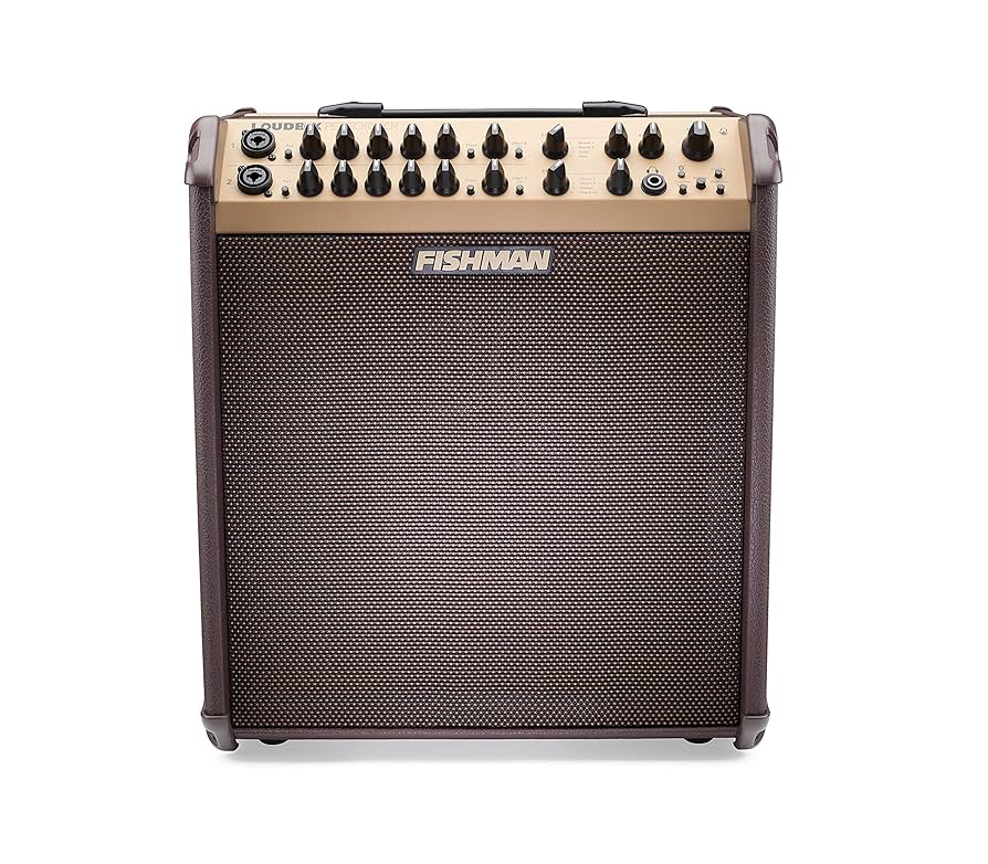 Amazon.com: Fishman Loudbox Performer BT 180-Watt 1x5 Inches